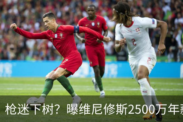 枪迷下树？曝维尼修斯2500万年薪+0签字费续约皇马